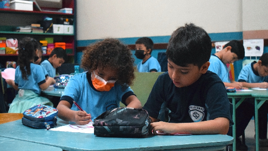 • Educación Básica elemental