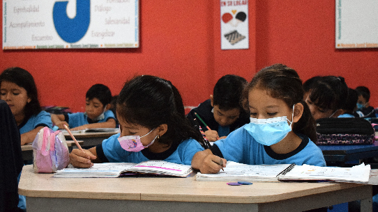 • Educación Básica elemental